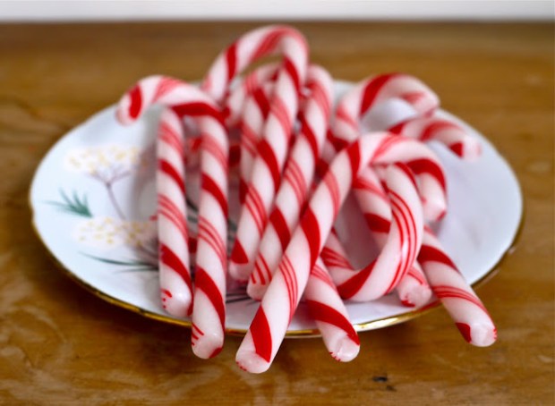  did you know that you can eat one of these after a meal instead of brushing your teeth?  