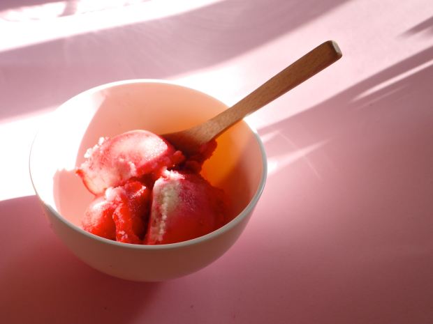 Vegan Rose Raspberry Ripple Ice Cream