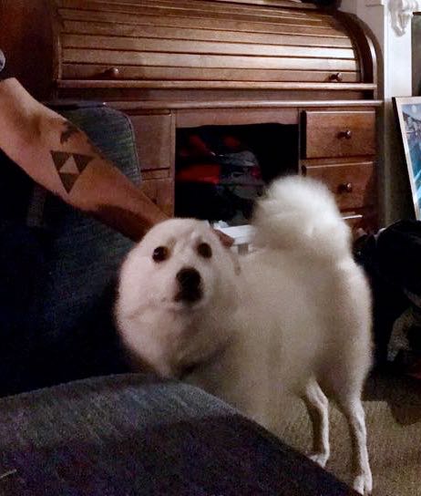 58377105_371467633497638_103228495282307072_n