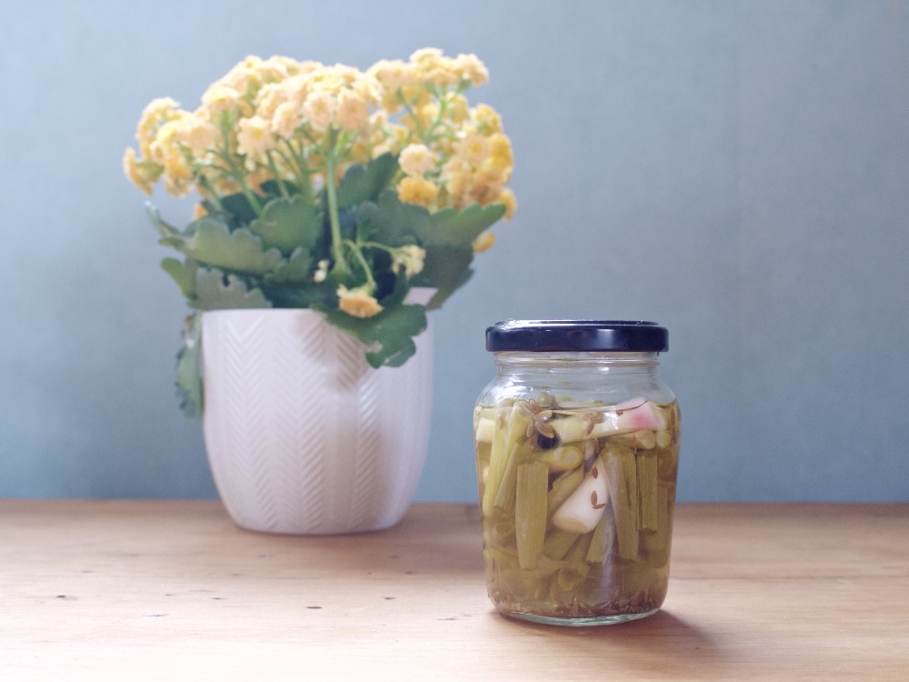 1_K8iQCbfVk7P-2dfAOpz7bQ