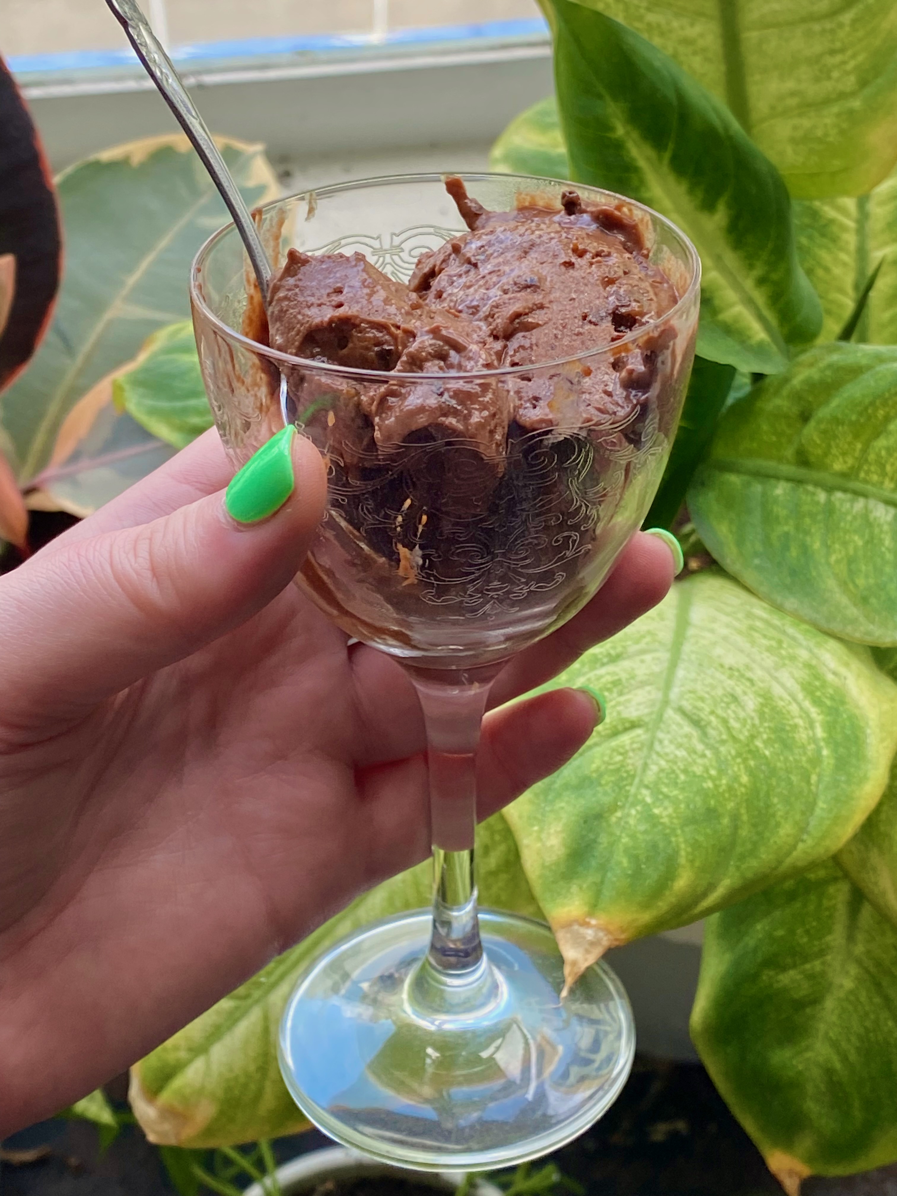 chocolate, rum, and prune truffle ice cream [vegan, no-churn] – Hungry ...