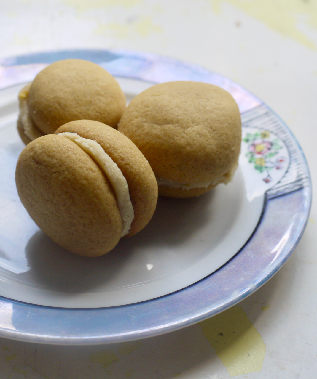 Three cookies in close up on a white plate with a blue border on a white background