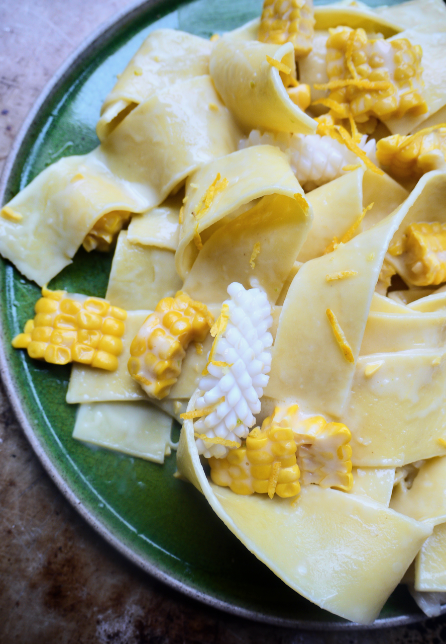 pappardelle, squid and corn on a green plate