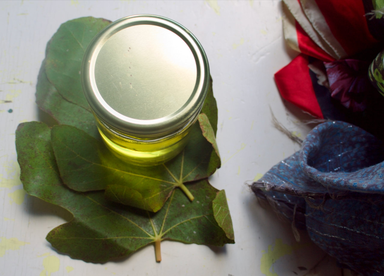 a jar of fig gin sitting on two fig leaves