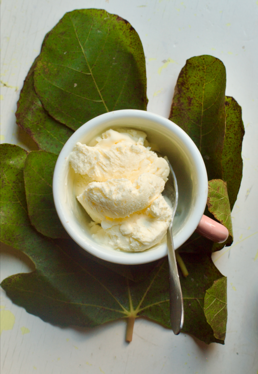 a teacup of ice cream sitting on fig leaves
